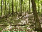 glennierealestate_2297_01.jpg