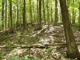 glennierealestate_2297_01.jpg