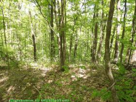 glennierealestate_2297_02.jpg