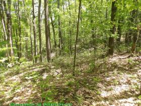 glennierealestate_2297_03.jpg