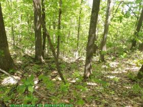 glennierealestate_2297_04.jpg
