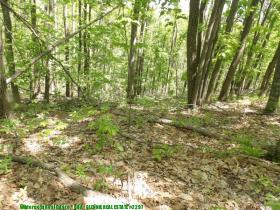 glennierealestate_2297_05.jpg