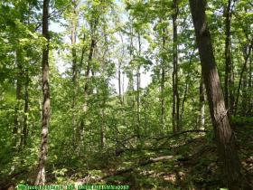 glennierealestate_2297_06.jpg