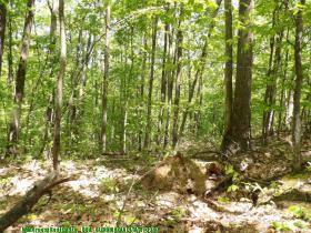 glennierealestate_2297_08.jpg