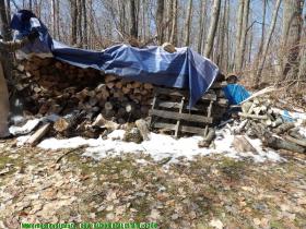 glennierealestate_2300_05.jpg