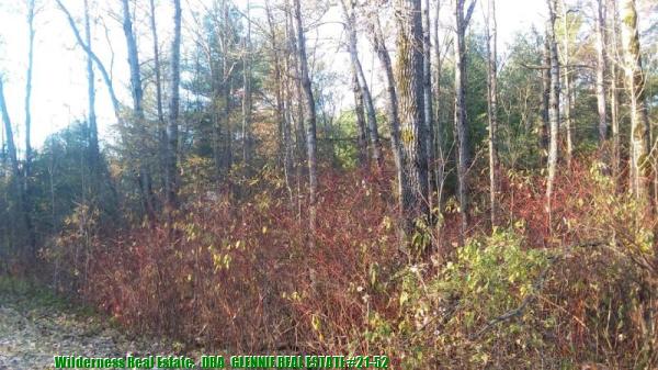 glennierealestate_21-52_01.jpg
