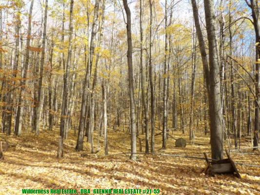 glennierealestate_21-53_06.jpg