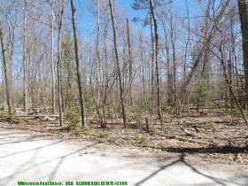 glennierealestate_2306_01.jpg